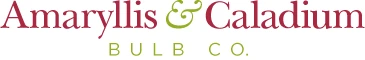 Amaryllis & Caladium Bulb Company