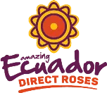 Ecuador Direct Roses