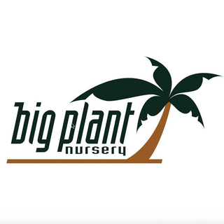 Big Plant Nursery