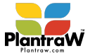 Plantraw.com