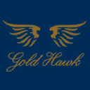 Gold Hawk
