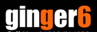 Ginger6