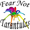 Fear Not Tarantulas