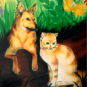 Whiskers Holistic Pet Care